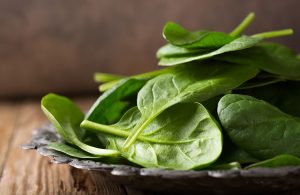Bio-Vegane Salate